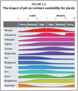 The impact of pH on nutrient availability for plants