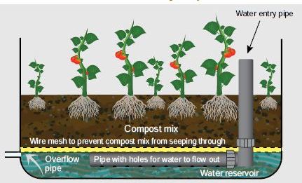 Illustration of a wicking bed system