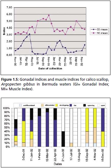 Gonadal indices and muscle indices for calico scallop, Argopecten gibbus in Bermuda waters (GI= Gonadal Index; MI= Muscle Index