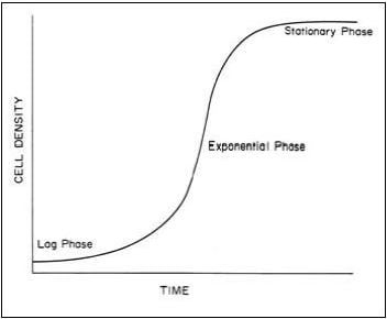 Theoretical growth curve of typical algal culture showing lag, exponential and stationary phase