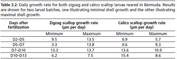 Daily growth rate for both zigzag and calico scallop larvae reared in Bermuda. Results are shown for two larval batches, one illustrating minimal shell growth and the other illustrating maximal shell growth