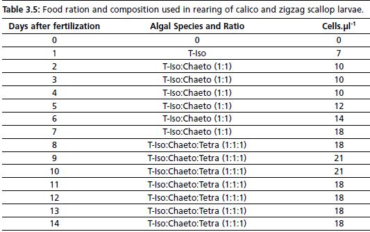 Food ration and composition used in rearing of calico and zigzag scallop larvae