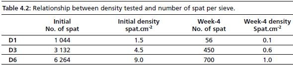 Relationship between density tested and number of spat per sieve.