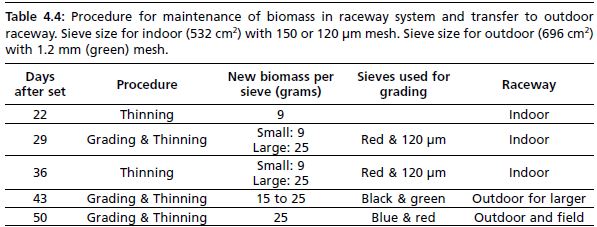 Procedure for maintenance of biomass in raceway system and transfer to outdoor raceway. Sieve size for indoor