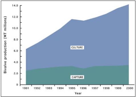 Production (in millions of tonnes) of bivalves from capture fisheries and aquaculture during the decade from 1991 to 2000 (from FAO Yearbooks of Fishery Statistics)