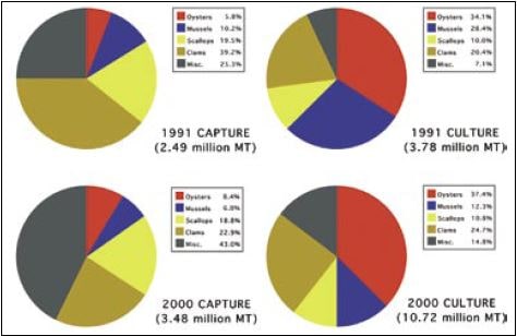 A comparison of production from capture fisheries and aquaculture broken down into the relative contributions of the major groups of bivalves in 1991 and 2000