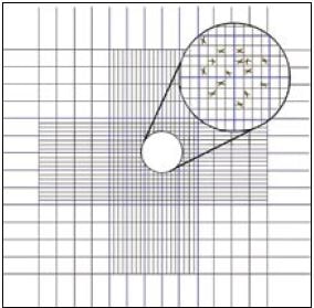 Diagram of the grid marked on a haemocytometer slide.