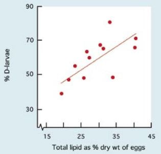 Relationship between total lipid as a percentage of dry weight and the percentage of Pacific oyster