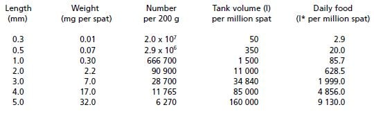 Tank water volume and daily food requirements for bivalve spat of different sizes when grown at a biomass of 200 g live weight per 1 000 l (0.2 kg per m3)