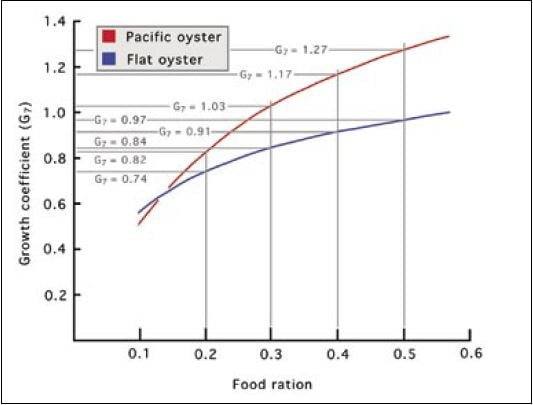 Comparison of the growth of European flat oyster and Pacific oyster spat at 24oC when fed various rations of a mixed diet of Isochrysis and Tetraselmis