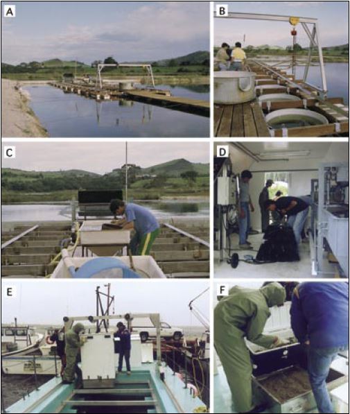 Examples of raft or barge-type nurseries: A to C – raft floating in a man-made pond connected to a large network of blooming ponds with interconnecting channels