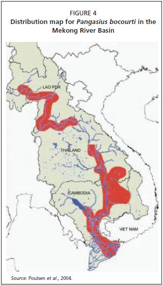 Distribution map for Pangasius bocourti in the Mekong River Basin