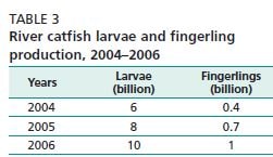 River catfish larvae and fingerling production, 2004–2006