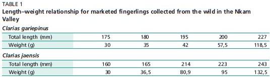 Length–weight relationship for marketed fingerlings collected from the wild in the Nkam Valley