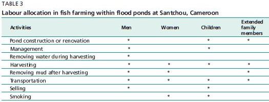 Labour allocation in fish farming within flood ponds at Santchou, Cameroon