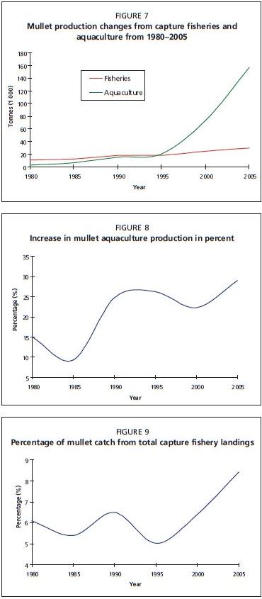 Mullet production changes from capture fisheries and aquaculture from 1980–2005