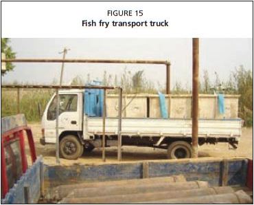 Fish fry transport truck