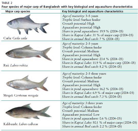Four species of major carp of Bangladesh with key biological and aquaculture characteristics Major carp species Key biological and aquaculture characteristics Age of maturity: 3–5 years