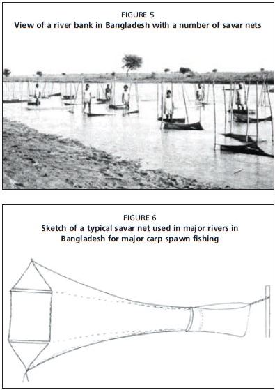 Sketch of a typical savar net used in major rivers in Bangladesh for major carp spawn fishing
