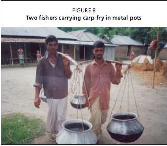 Two fishers carrying carp fry in metal pots