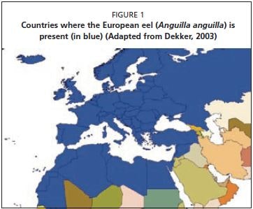 Countries where the European eel (Anguilla anguilla) is present (in blue) (Adapted from Dekker, 2003)