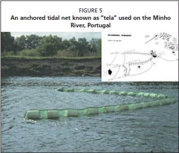 An anchored tidal net known as “tela” used on the Minho River, Portugal