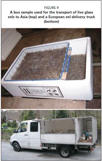 A box sample used for the transport of live glass eels to Asia (top) and a European eel delivery truck (bottom)