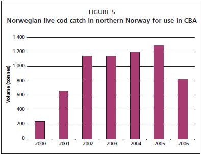Norwegian live cod catch in northern Norway for use in CBA