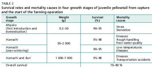 Survival rates and mortality causes in four growth stages of juvenile yellowtail from capture and the start of the farming operation