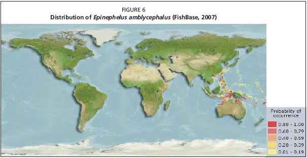 Distribution of Epinephelus amblycephalus (FishBase, 2007)