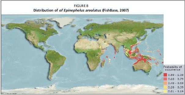 Distribution of of Epinephelus areolatus (FishBase, 2007)