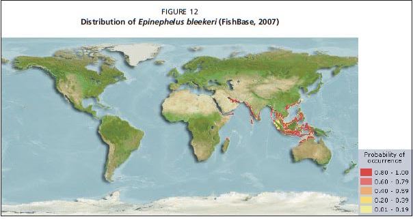 Distribution of Epinephelus bleekeri (FishBase, 2007)