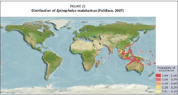 Distribution of Epinephelus malabaricus (FishBase, 2007)
