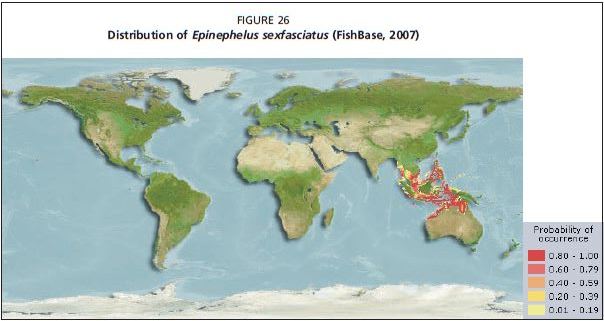 Distribution of Epinephelus sexfasciatus (FishBase, 2007)