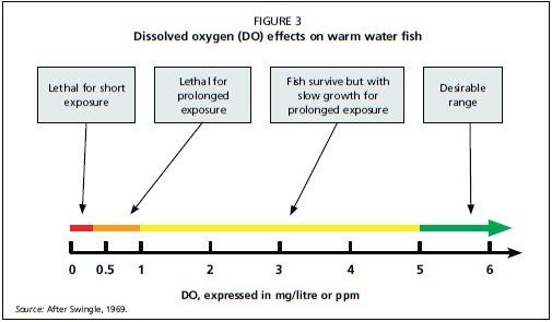 Dissolved oxygen (DO) effects on warm water fish