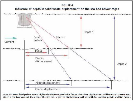 Influence of depth in solid waste displacement on the sea bed below cages