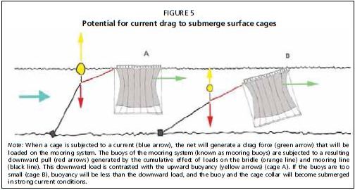 Potential for current drag to submerge surface cages