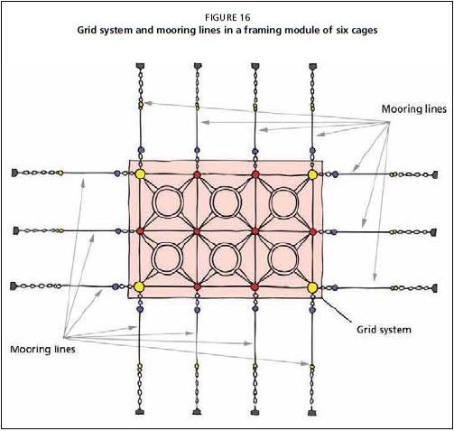 Grid system and mooring lines in a framing module of six cages