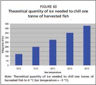 Theoretical quantity of ice needed to chill one tonne of harvested fish