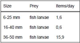 Field predation rates of Aurelia aurita based on stomach contents and digestion rates (after Arai, 1997).