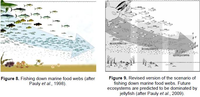 Fishing down marine food webs (after Pauly et al., 1998).