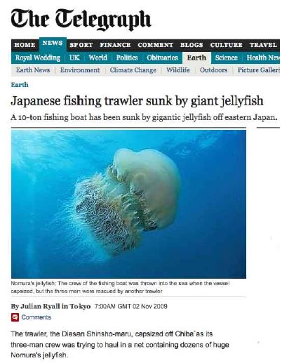 Press release on the sinking of a fishing vessel by giant jellyfish.