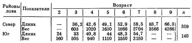 Таблица 2. Длина (см) и вес (г) судака по возрастным группам