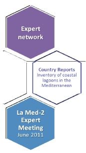 LaMed-2 activities and expert network