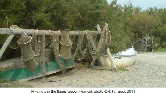 Fyke nets in the Bages lagoon (France)