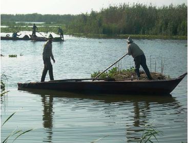 Lagoon fishers in Egypt