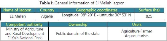 General information of El Mellah lagoon