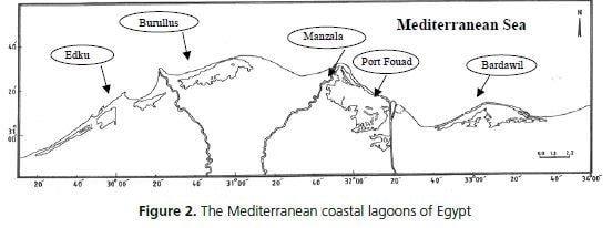 The Mediterranean coastal lagoons of Egypt