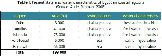 Present state and water characteristics of Egyptian coastal lagoons