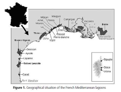 Geographical situation of the French Mediterranean lagoons